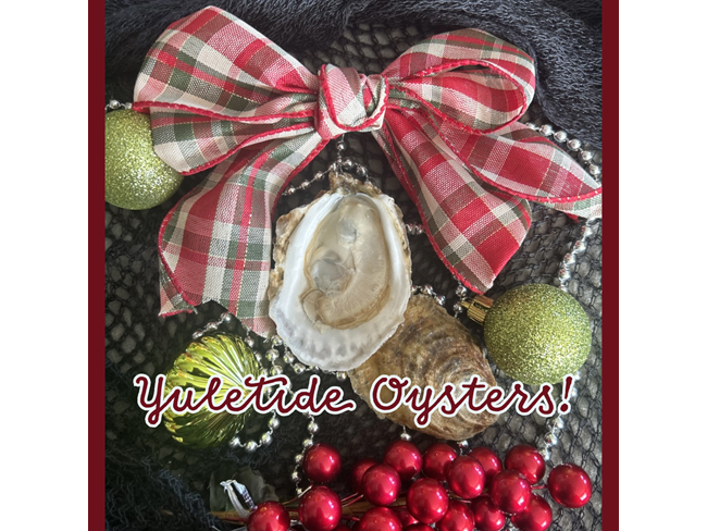  Yuletide Oyster - 25 count